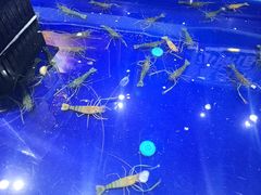-盒马鲜生(新都心店)