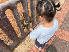 -石家庄市动物园