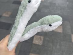 -越秀西湖花市(广州城市广场花卉店)