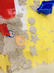 -卡通尼·Safari非洲探索乐园·生日会(金桥国际商业广场店)