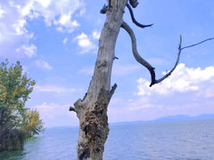 -捞渔河湿地公园