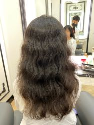 -YESIDO椰岛造型