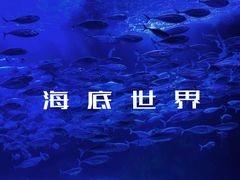 -太平洋海底世界