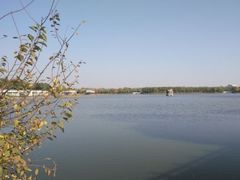 -大兴滨河森林公园