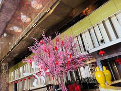 -金轩中餐厅 Jin Xuan(浦东丽思卡尔顿酒店)