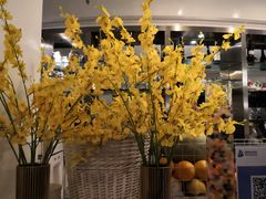 -花舍·新派粤菜·西餐·下午茶(亚运村·鸟巢店)