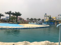 -秦皇岛乐岛海洋王国