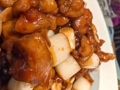 -鸽子窝(宋庄店)