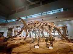 -自贡恐龙博物馆