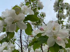 -元大都城垣遗址公园