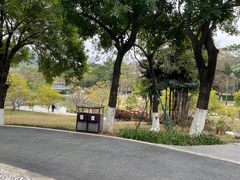 -东莞植物园