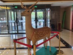 -乌苏沂疆大酒店