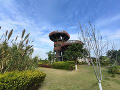 -芒洲湿地公园