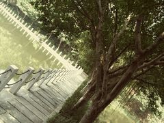 -西樵山风景名胜区-天湖公园