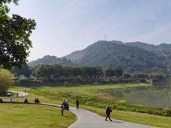 -风云岭森林公园