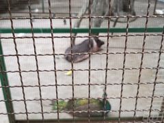 -珠海海泉湾神秘岛亲子乐园