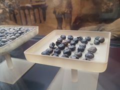 -河姆渡遗址博物馆