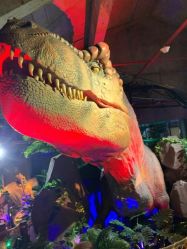 -恐龙探索乐园(磁器口店)