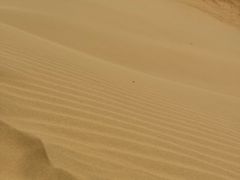 -亿利库布其七星湖沙漠生态旅游区