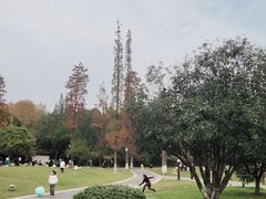 -习家池