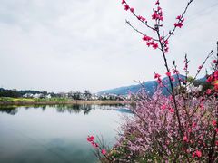 -新安江山水画廊风景区