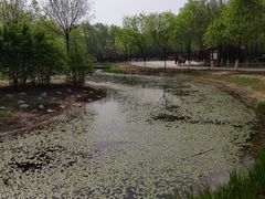 -东郊湿地公园