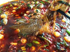 -胖大姐黄辣丁鱼庄(新津店)