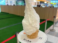 -野人先生Gelato(上海长宁龙之梦店)