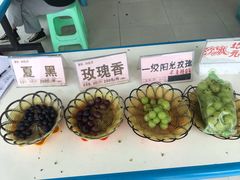 -向葡萄庄园
