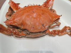 -鸽子张·家宴(黄辛庄旗舰店)