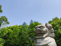 -同里国家湿地公园
