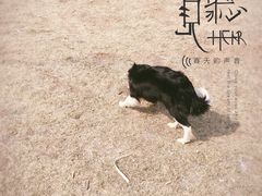 -丁香湖公园