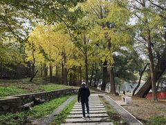 -阳台山自然风景区
