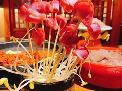 -蓉城江北老灶火锅(春熙路店)