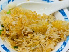 -朱记乳鸽王·非遗石岐乳鸽·全鸽宴(大兴旗舰店)