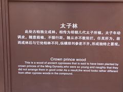 -北京市劳动人民文化宫