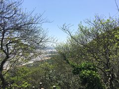 -普陀山风景名胜区-法雨禅寺