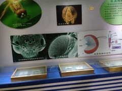 -上海昆虫博物馆