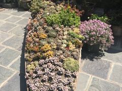 -寂照庵