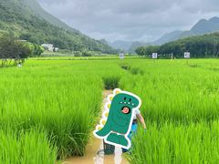 -万峰林风景区