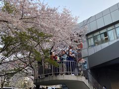 -南浦大桥长途旅游客运站