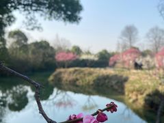 -西溪国家湿地公园