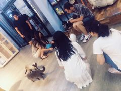 -猫咪咖啡·猫咖(万达广场店)