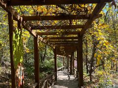 -大岭沟猕猴桃谷风景区