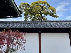 -京都御所