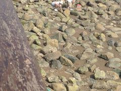 -东疆理想海岸沙滩景区