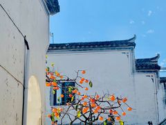 -塔川景区