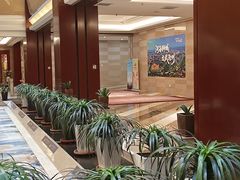 -金狮国际酒店自助餐(金狮店)