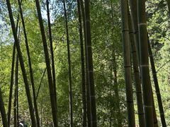 -东天目山风景区