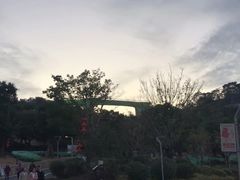 -飞凤山奥体公园
